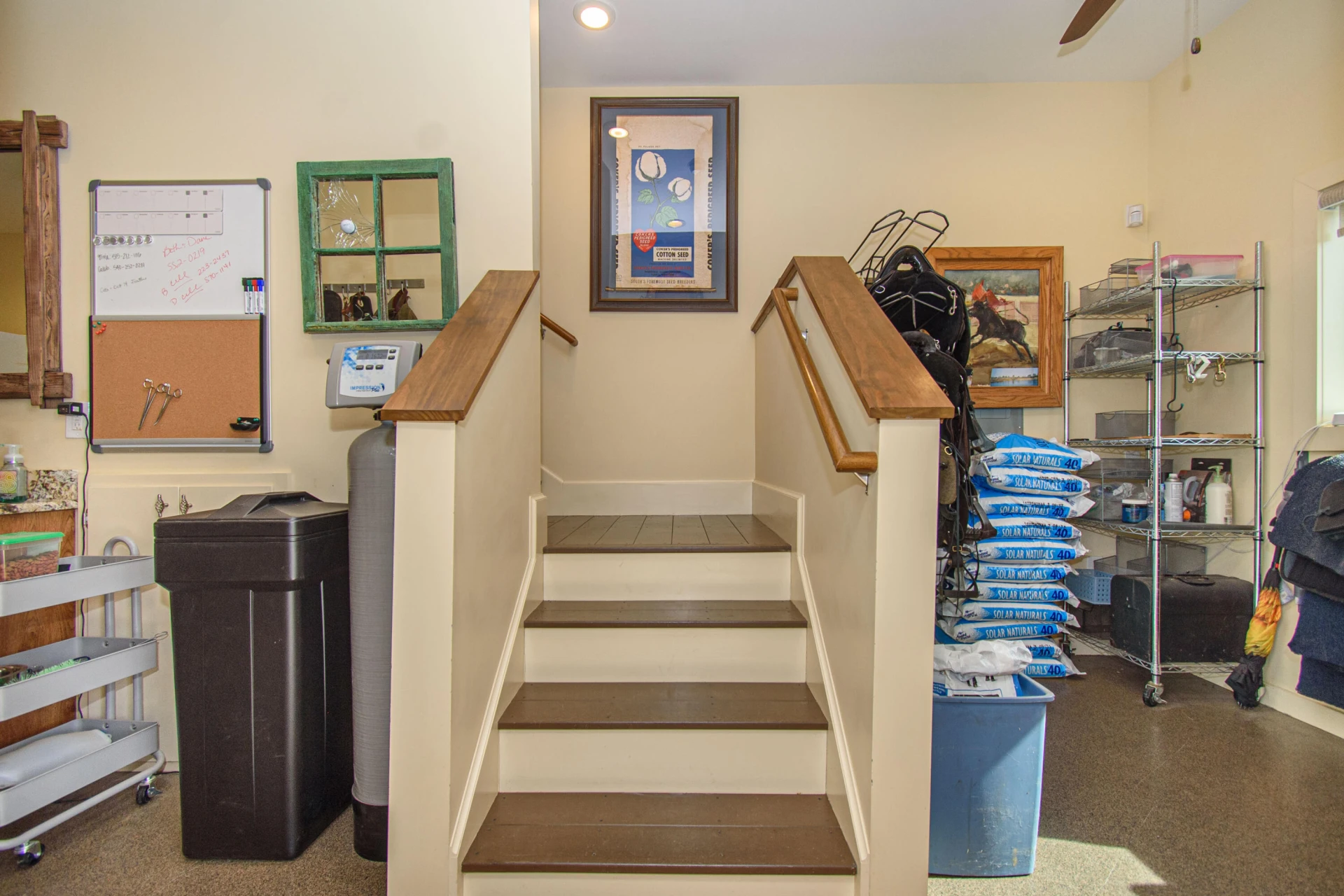 5600 Mount Tabor RD - Photo 78