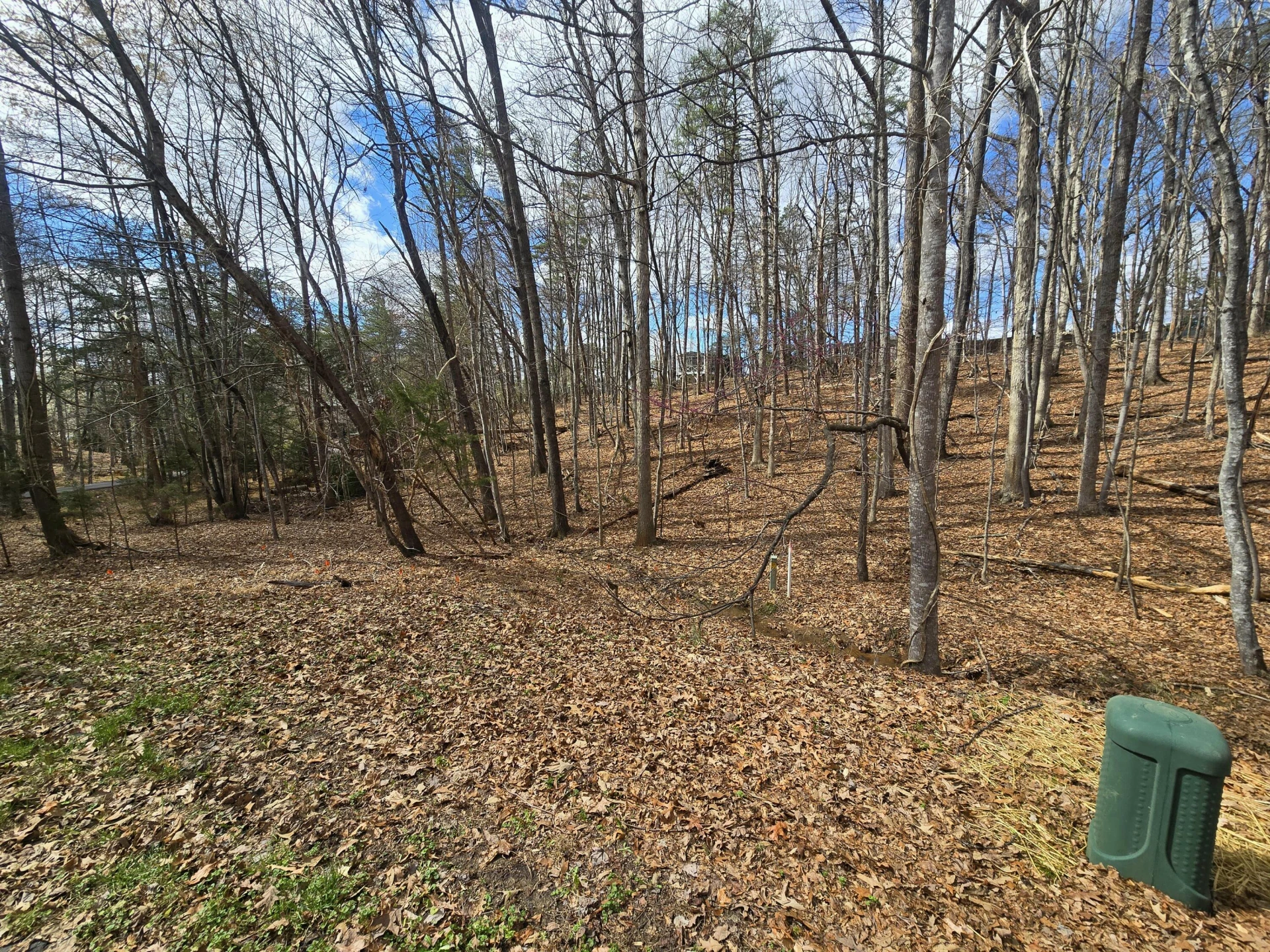 300 Crawford DR - Photo 70