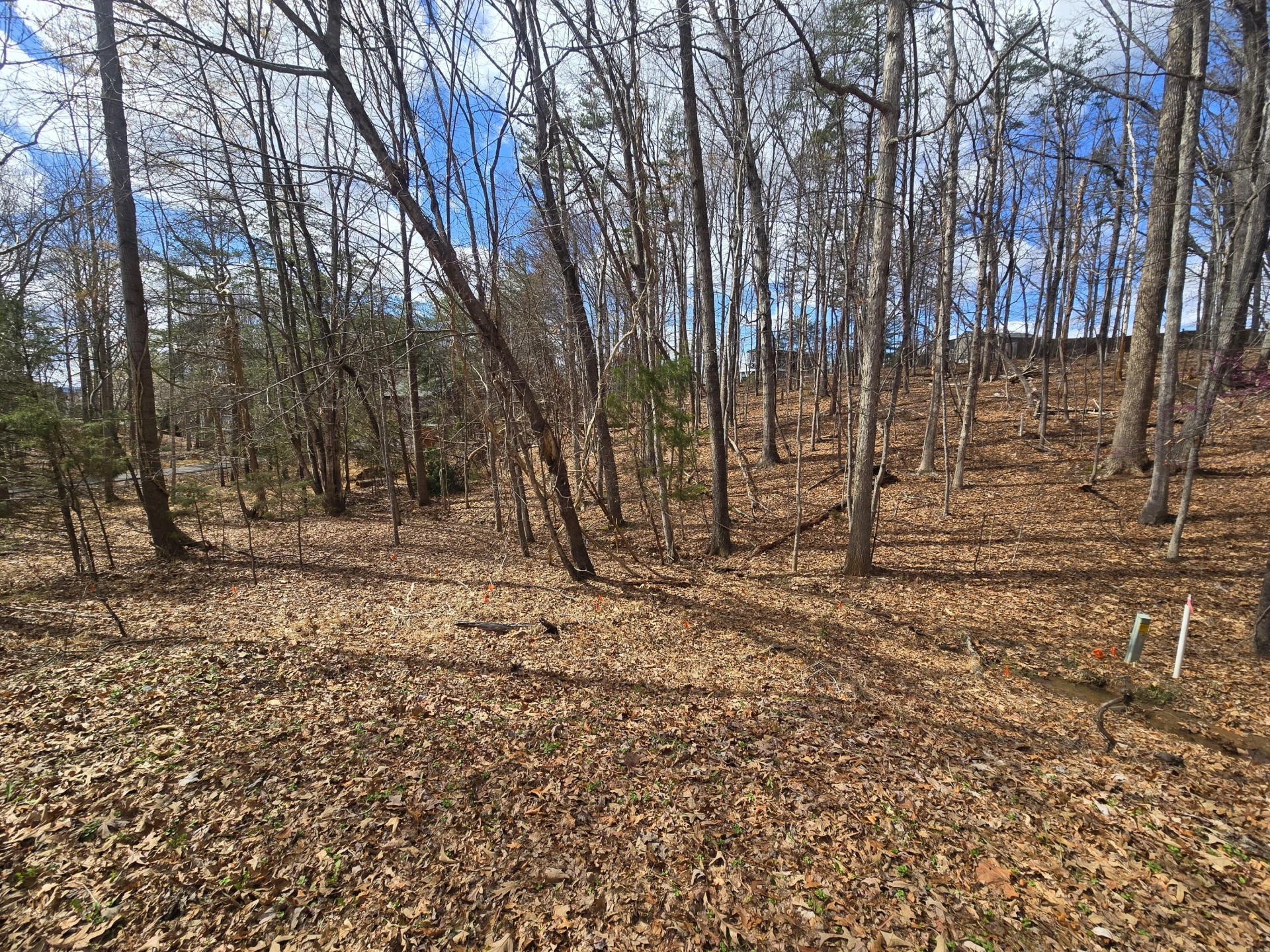300 Crawford DR - Photo 71