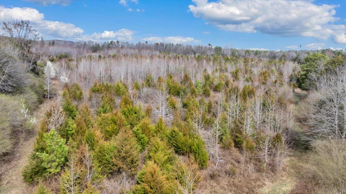12685 Gretna RD - Photo 25