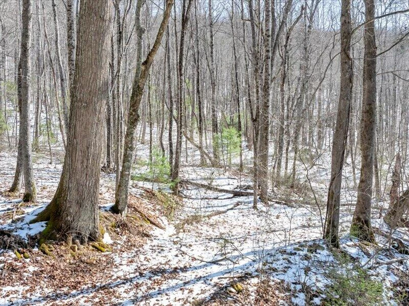0 Sugar Run RD - Photo 13