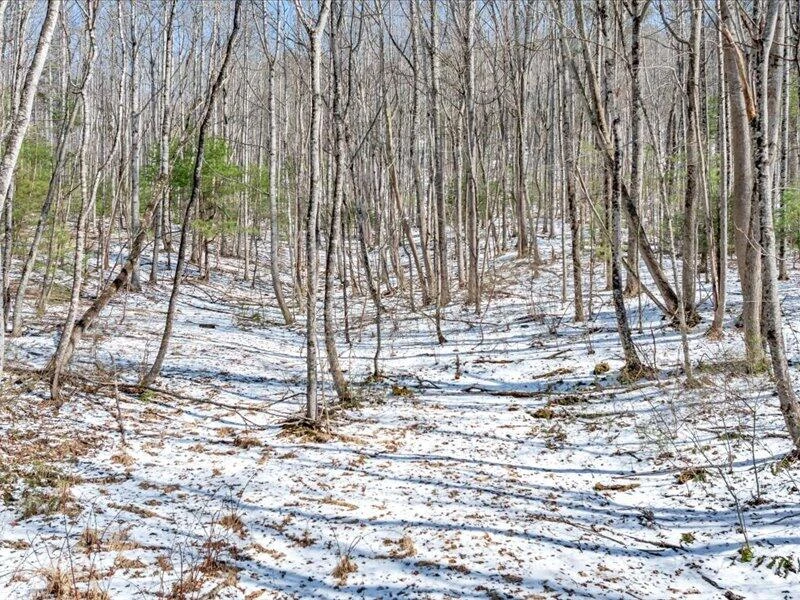 0 Sugar Run RD - Photo 15