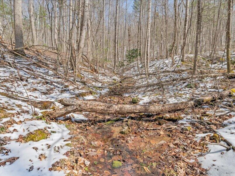 0 Sugar Run RD - Photo 17