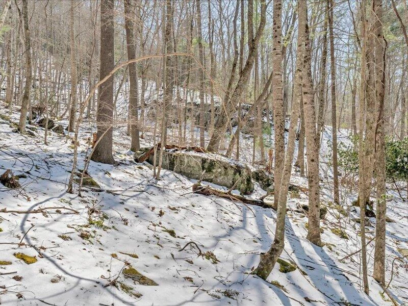 0 Sugar Run RD - Photo 22