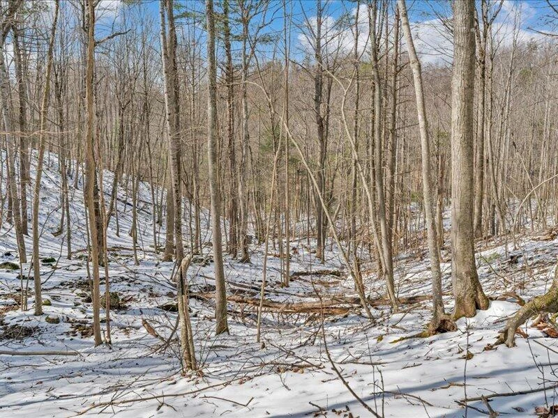 0 Sugar Run RD - Photo 24