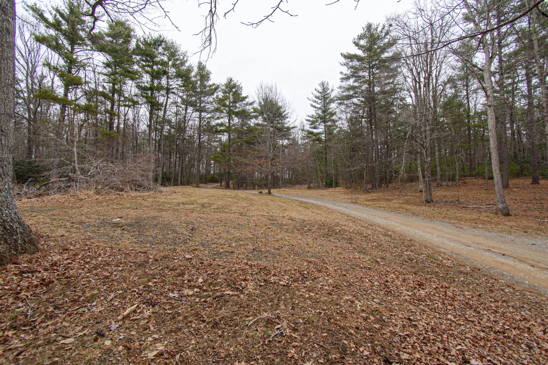 162 Mountain Laurel WAY - Photo 37