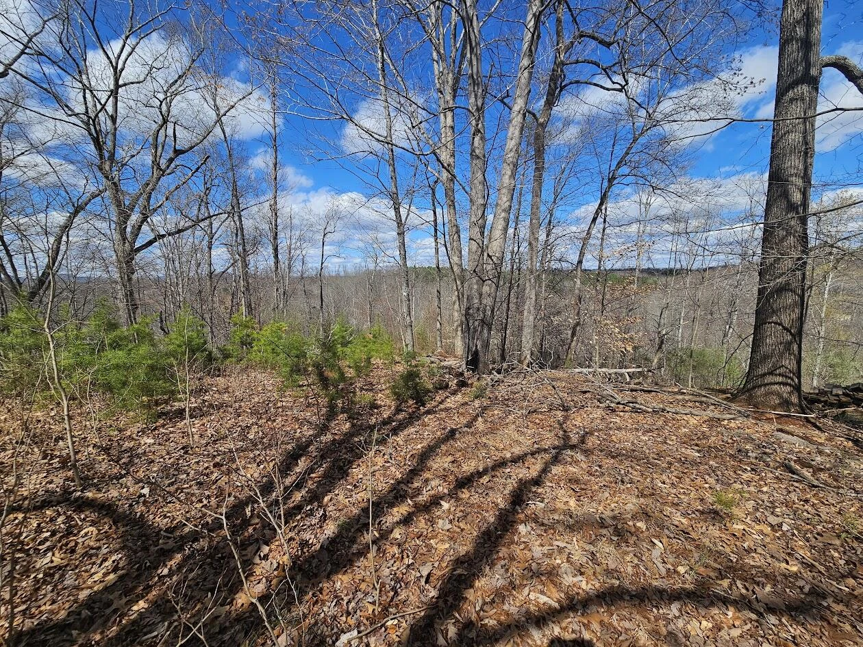 Lot 26 Afton LN - Photo 7