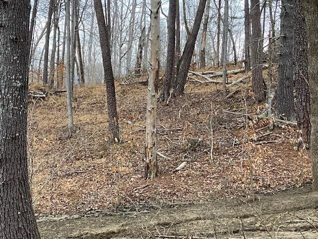 Lot 39 Lakewatch CIR - Photo 8