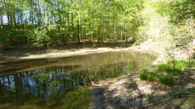 TRACT 9 Dusty LN, Martinsville, VA, 24112