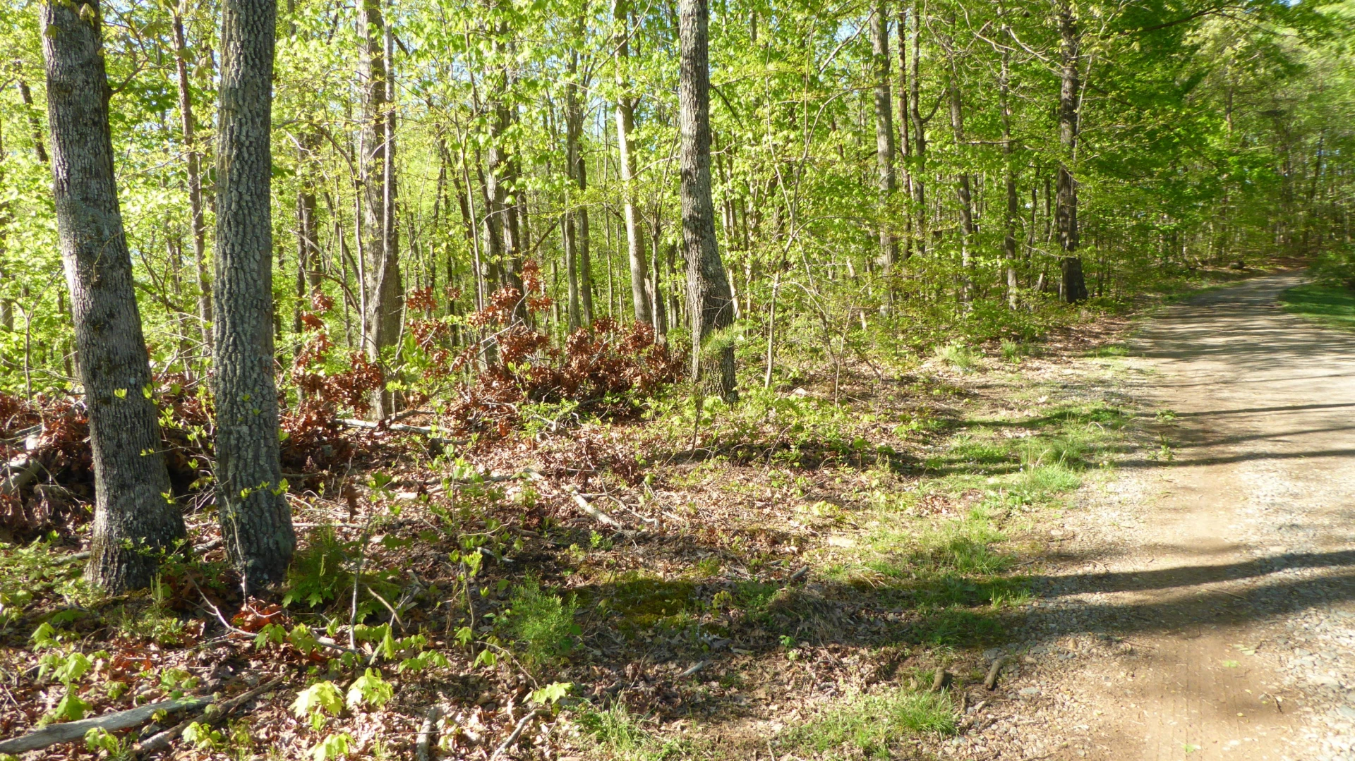 TRACT 9 Dusty LN - Photo 2