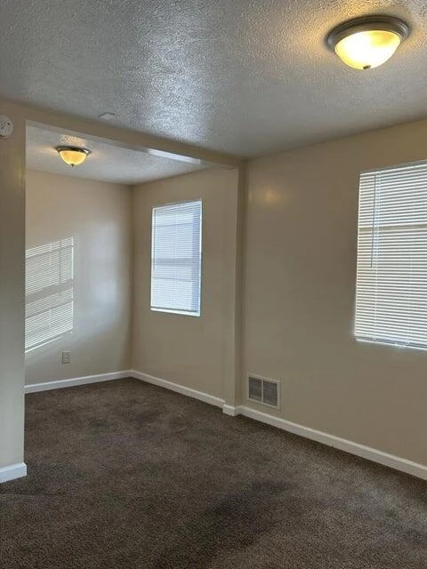 711 McDowell AVE - Photo 4