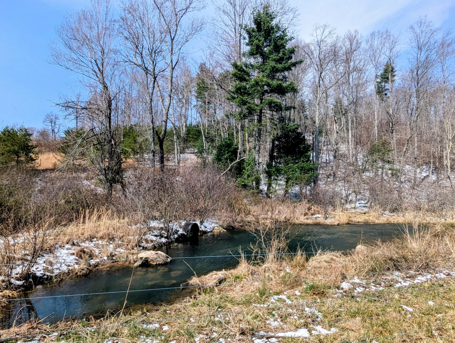 446 Good Neighbors RD - Photo 41
