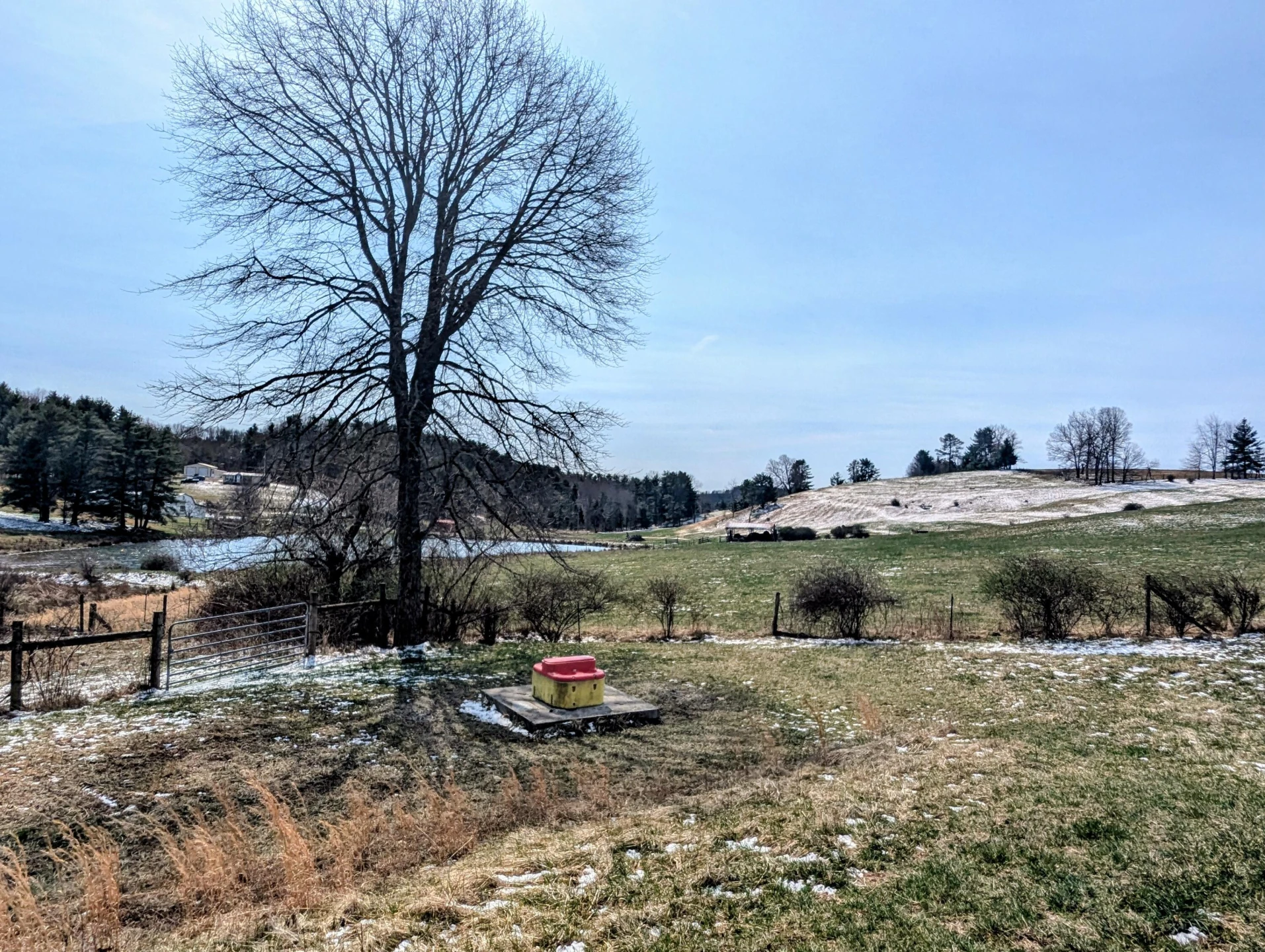 446 Good Neighbors RD - Photo 42