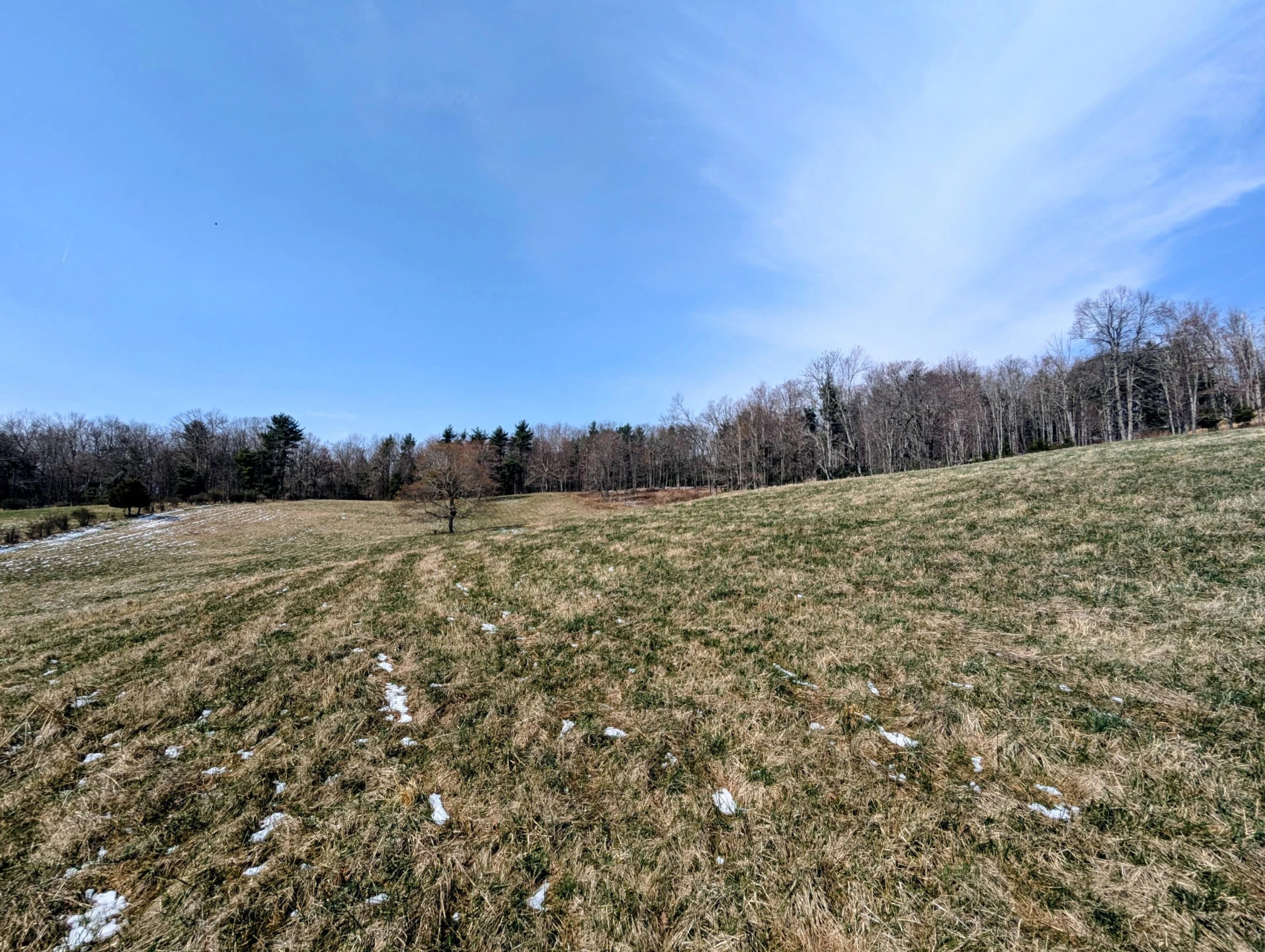 446 Good Neighbors RD - Photo 43