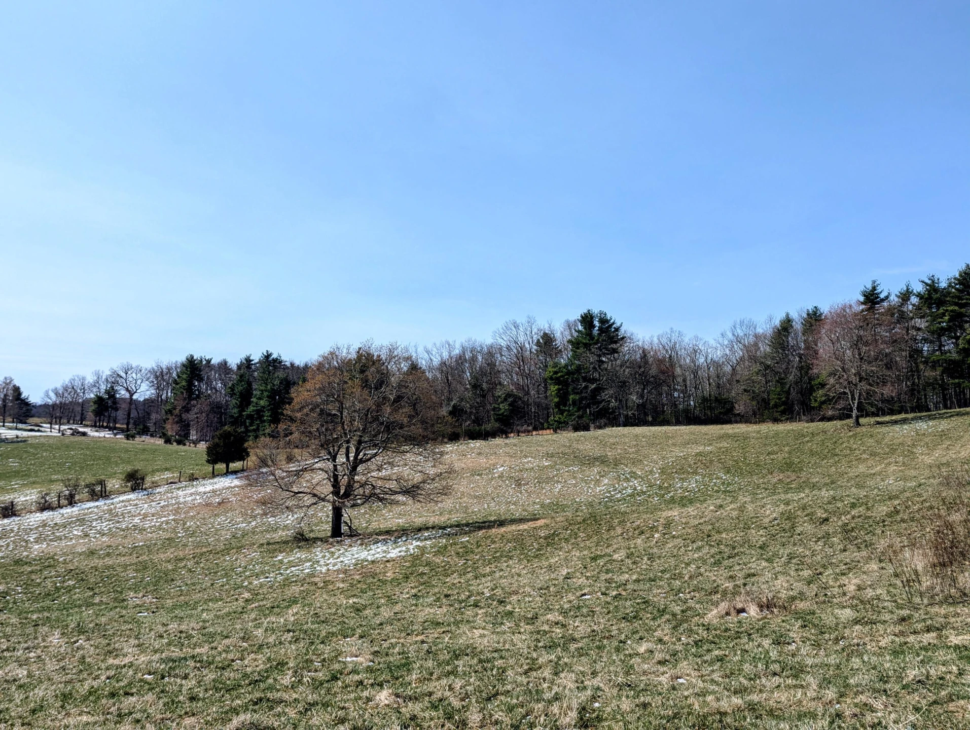 446 Good Neighbors RD - Photo 46