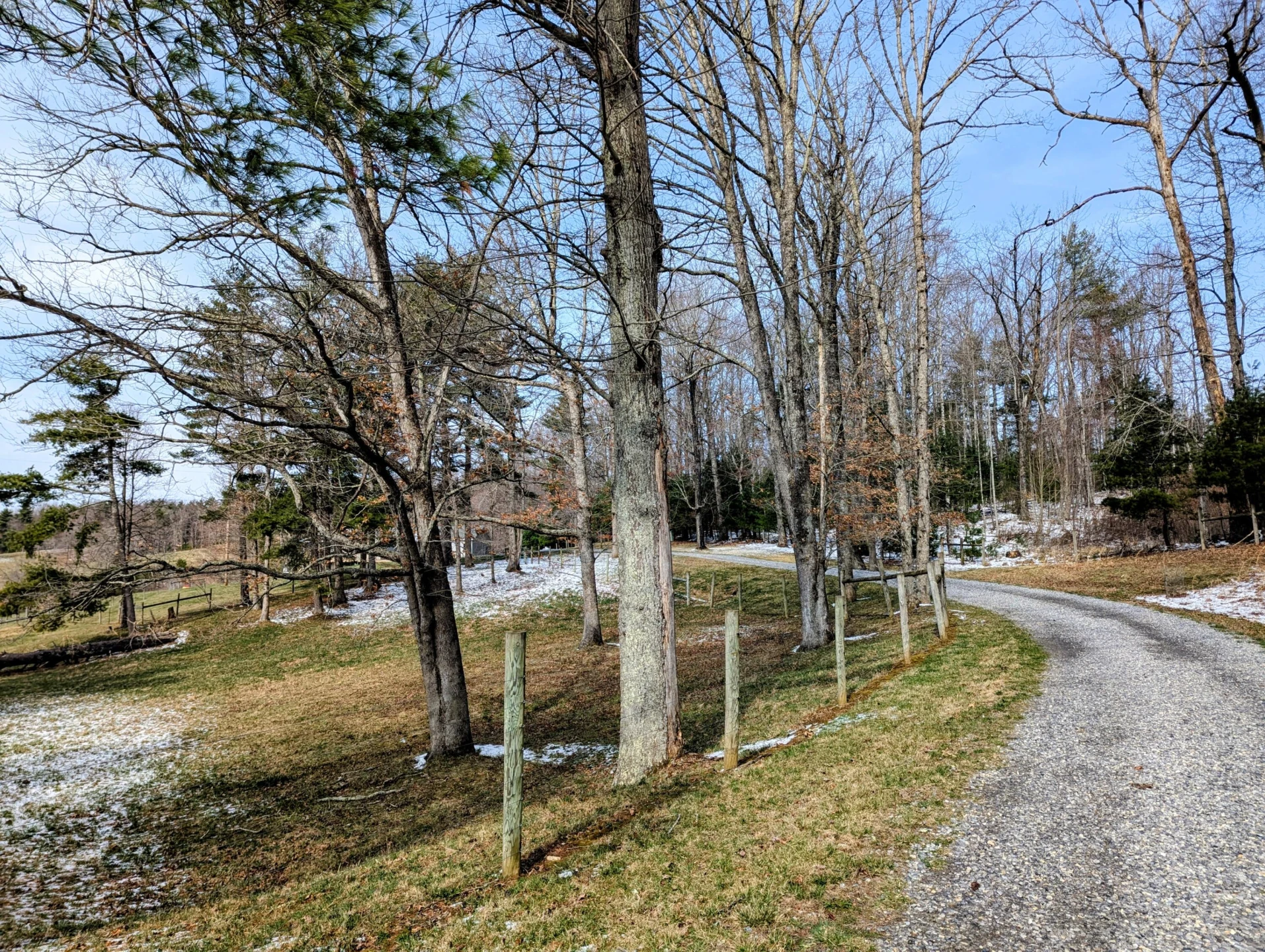 446 Good Neighbors RD - Photo 88
