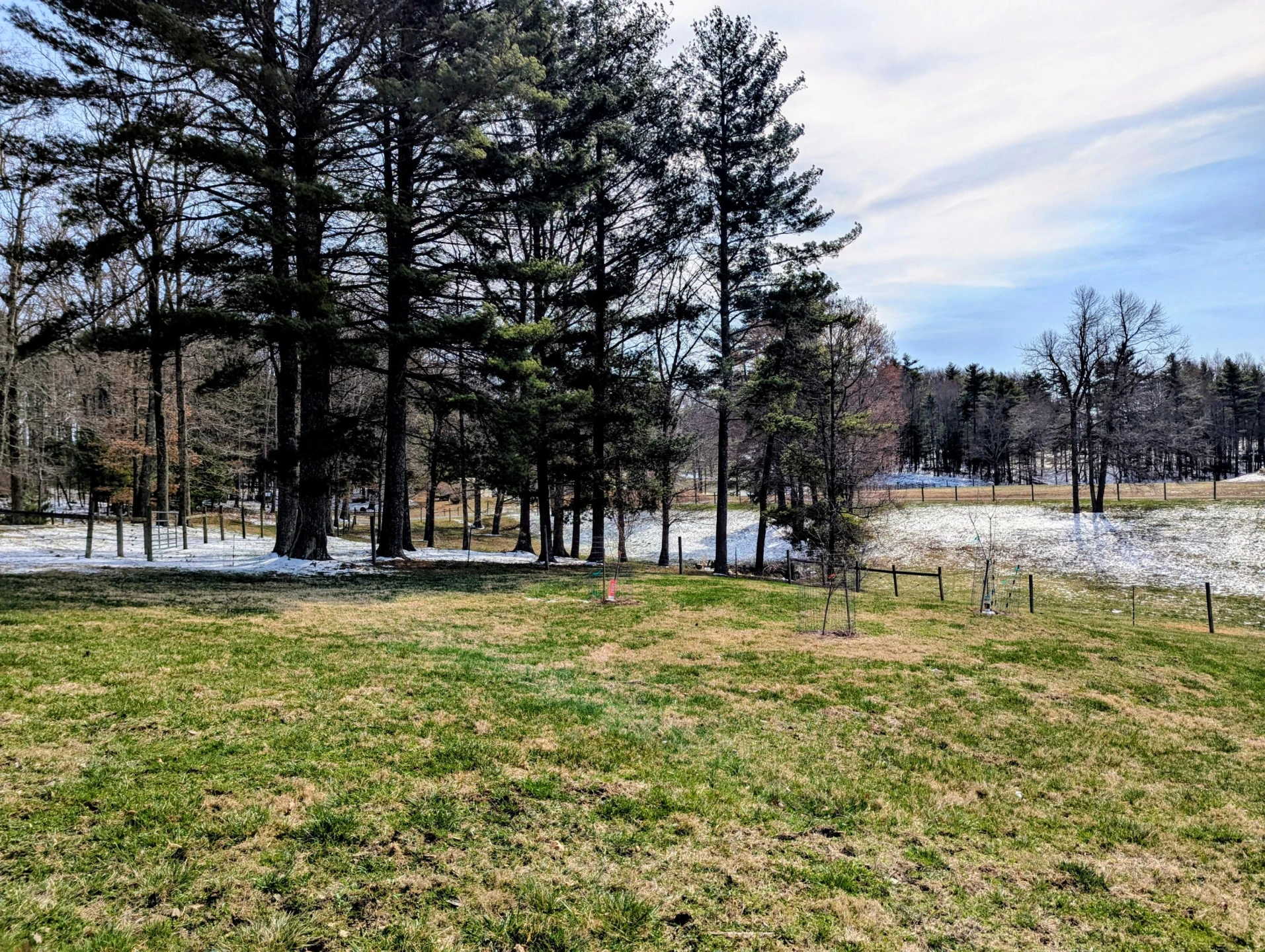 446 Good Neighbors RD - Photo 89