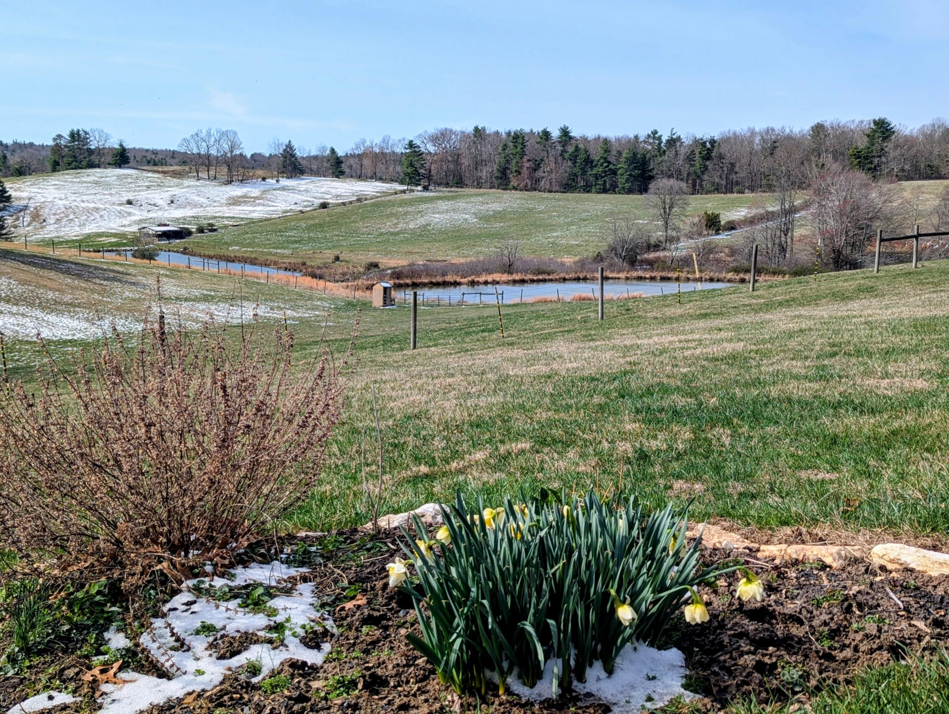 446 Good Neighbors RD - Photo 93