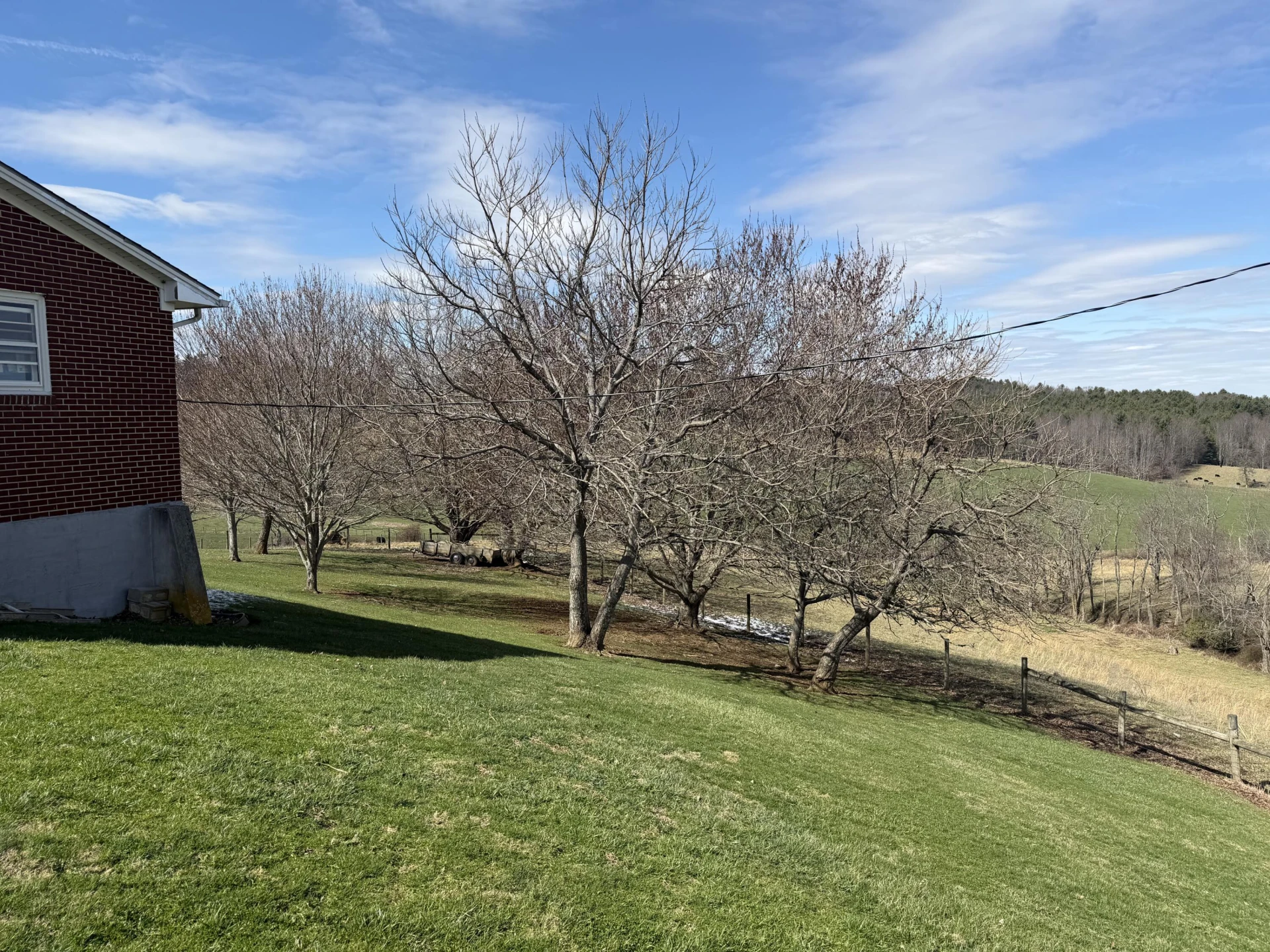263 Indian Valley PO RD - Photo 6
