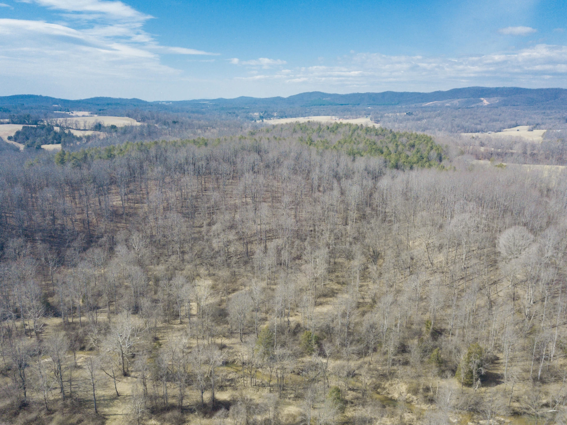 10820 Sontag RD - Photo 28