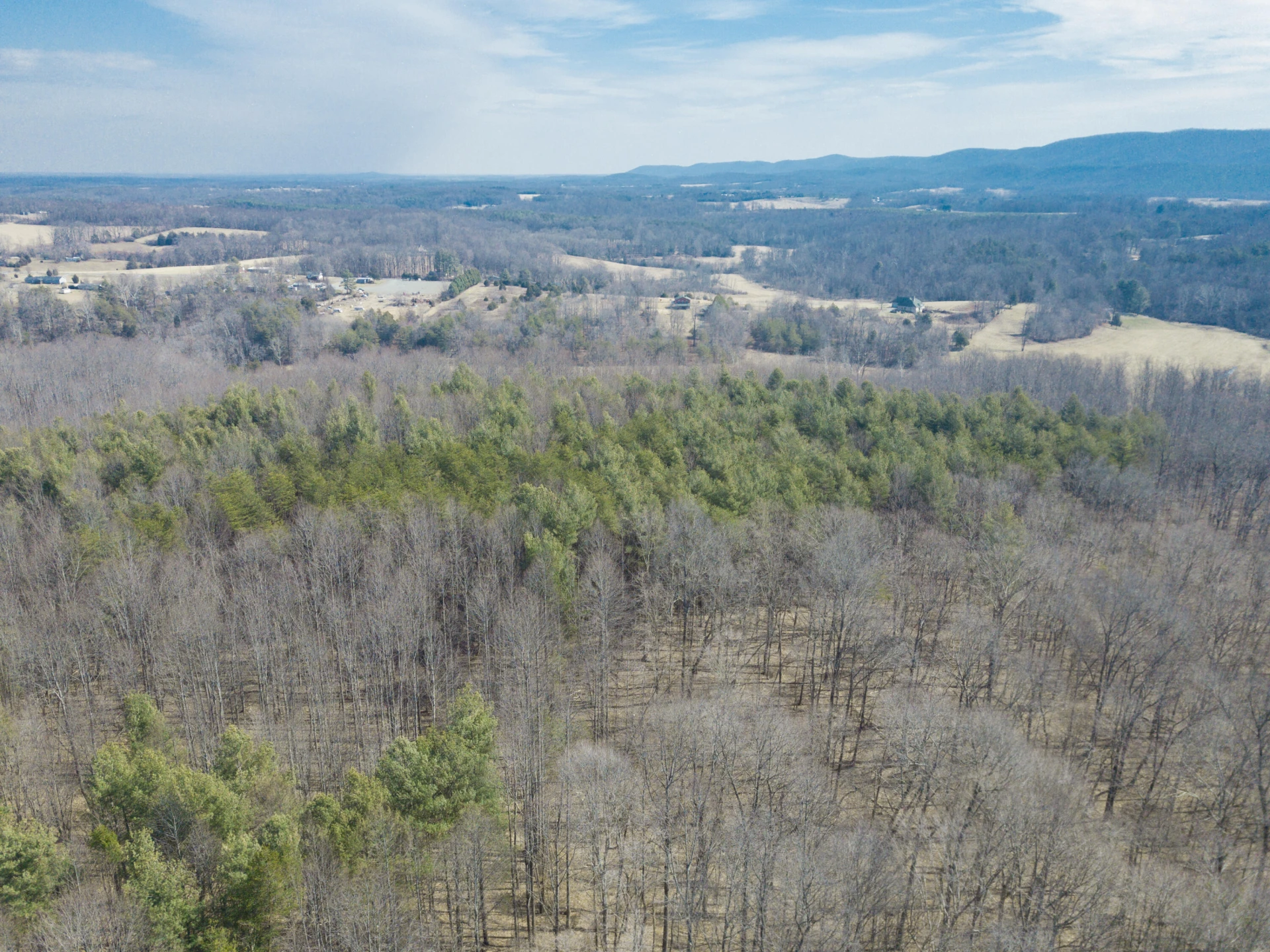 10820 Sontag RD - Photo 29