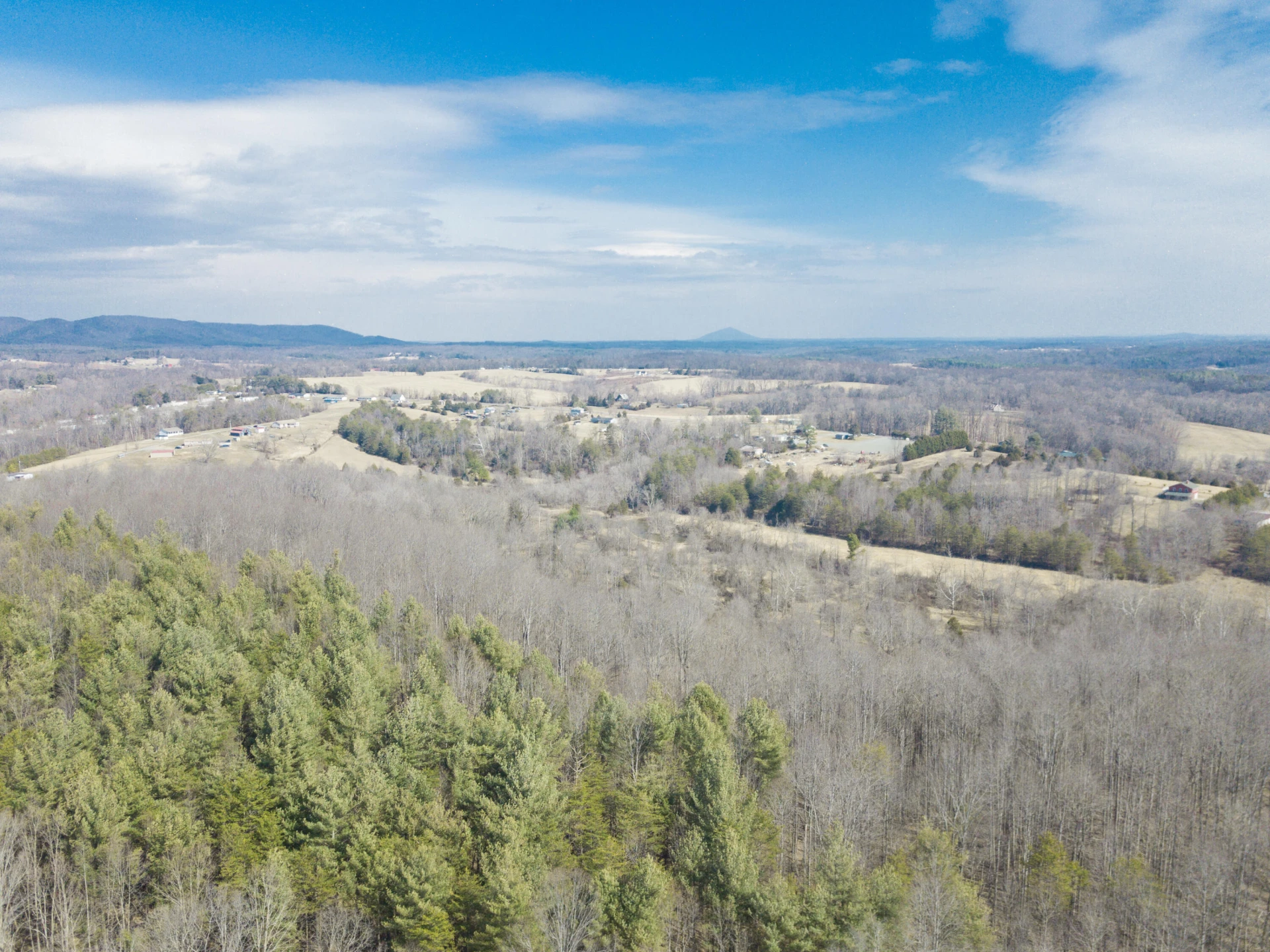 10820 Sontag RD - Photo 30