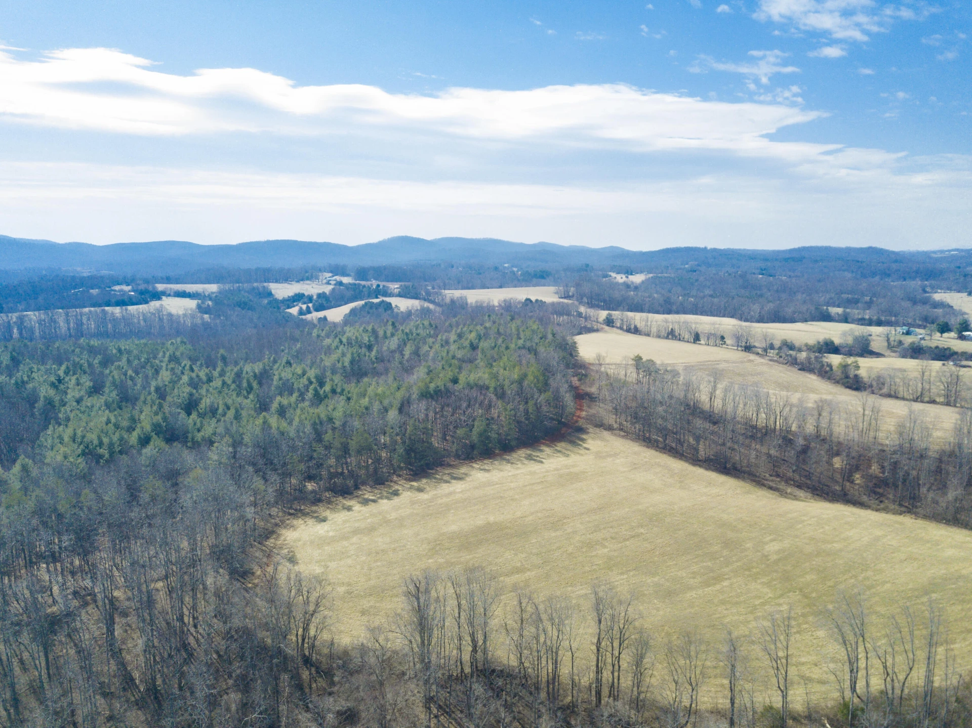 10820 Sontag RD - Photo 32
