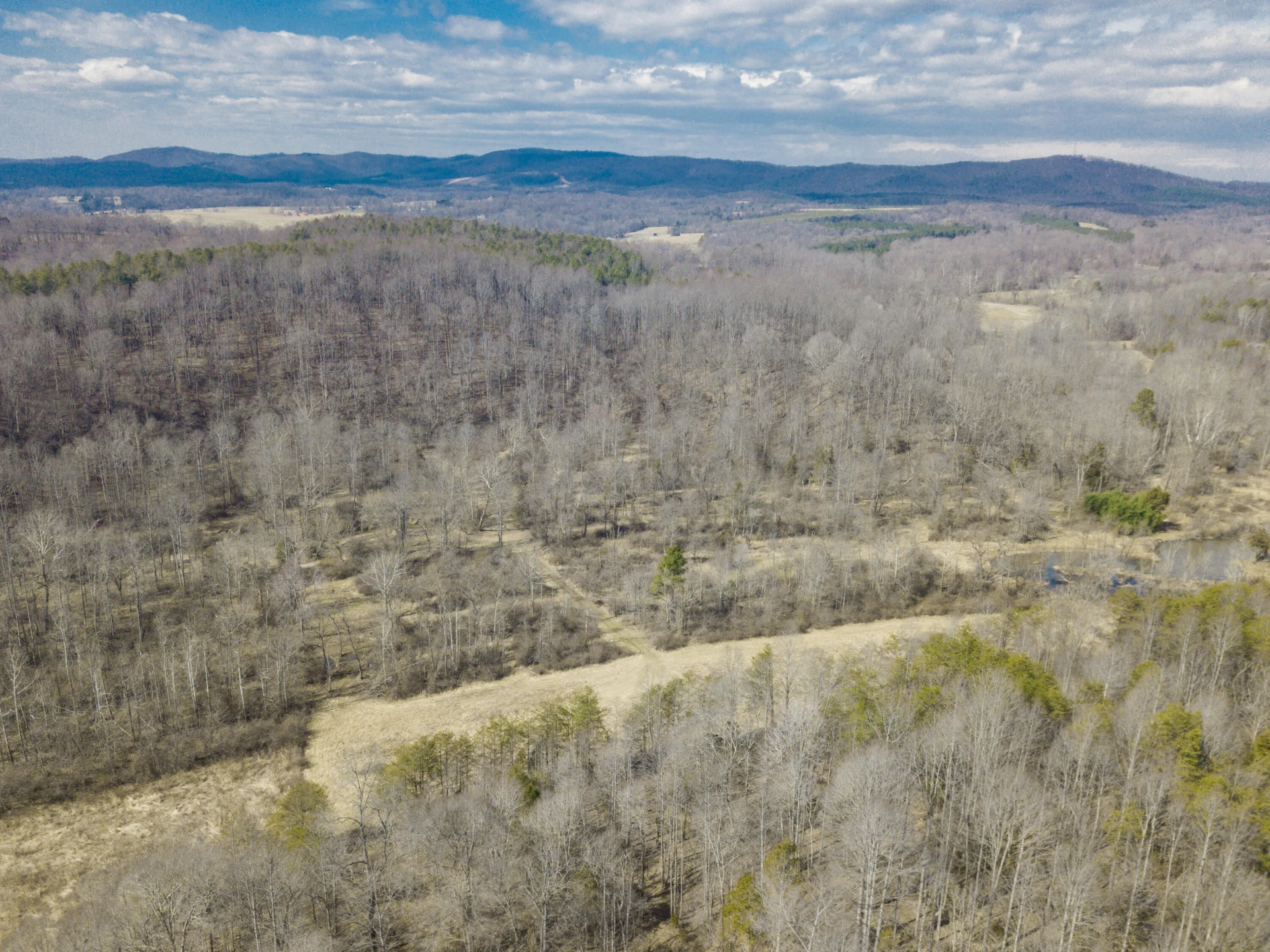 10820 Sontag RD - Photo 36