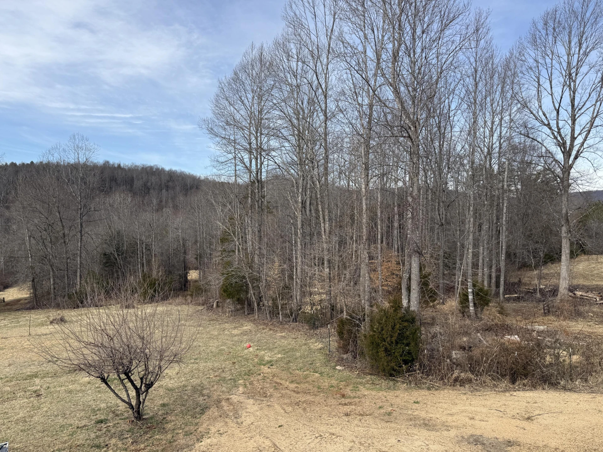 10820 Sontag RD - Photo 6