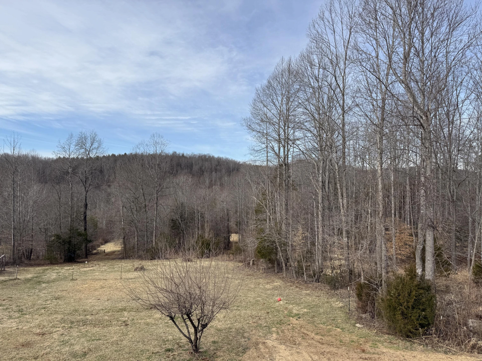10820 Sontag RD - Photo 7