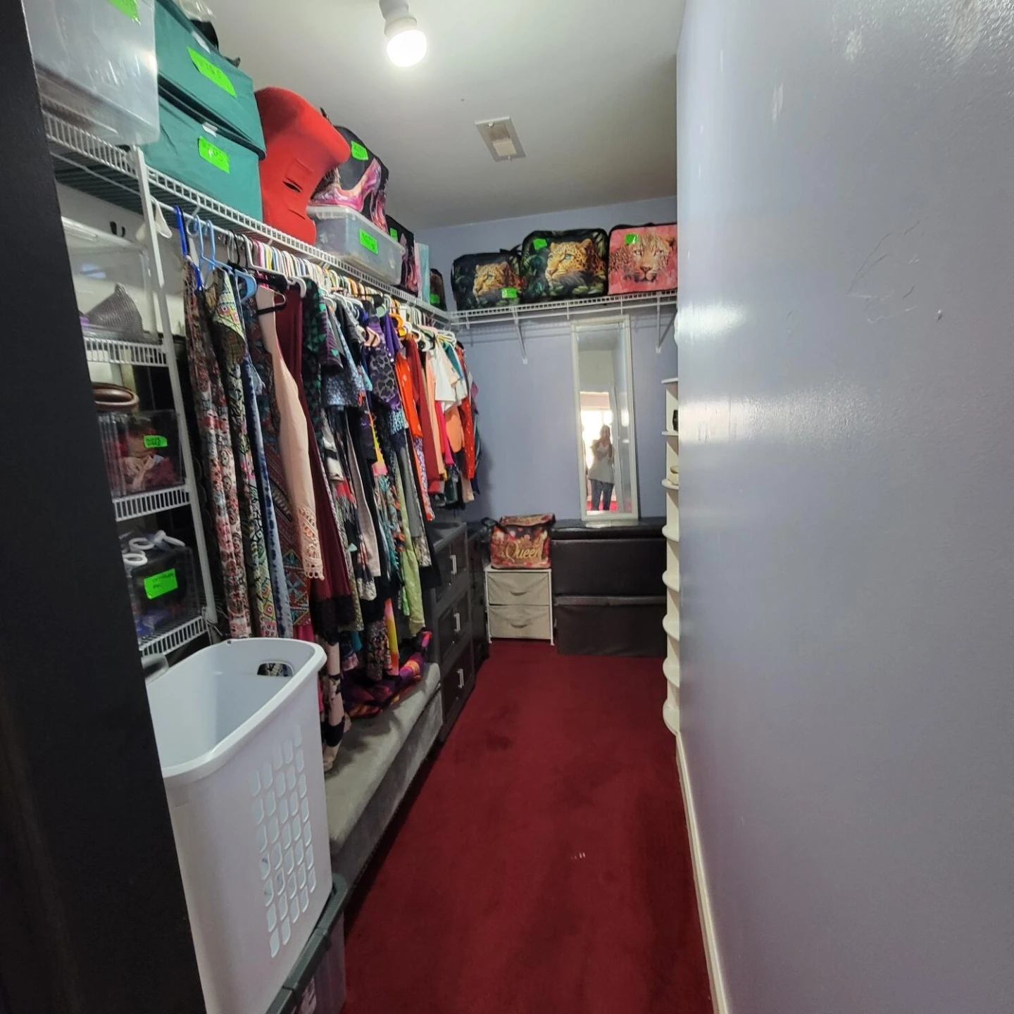 540 Nursery RD - Photo 11