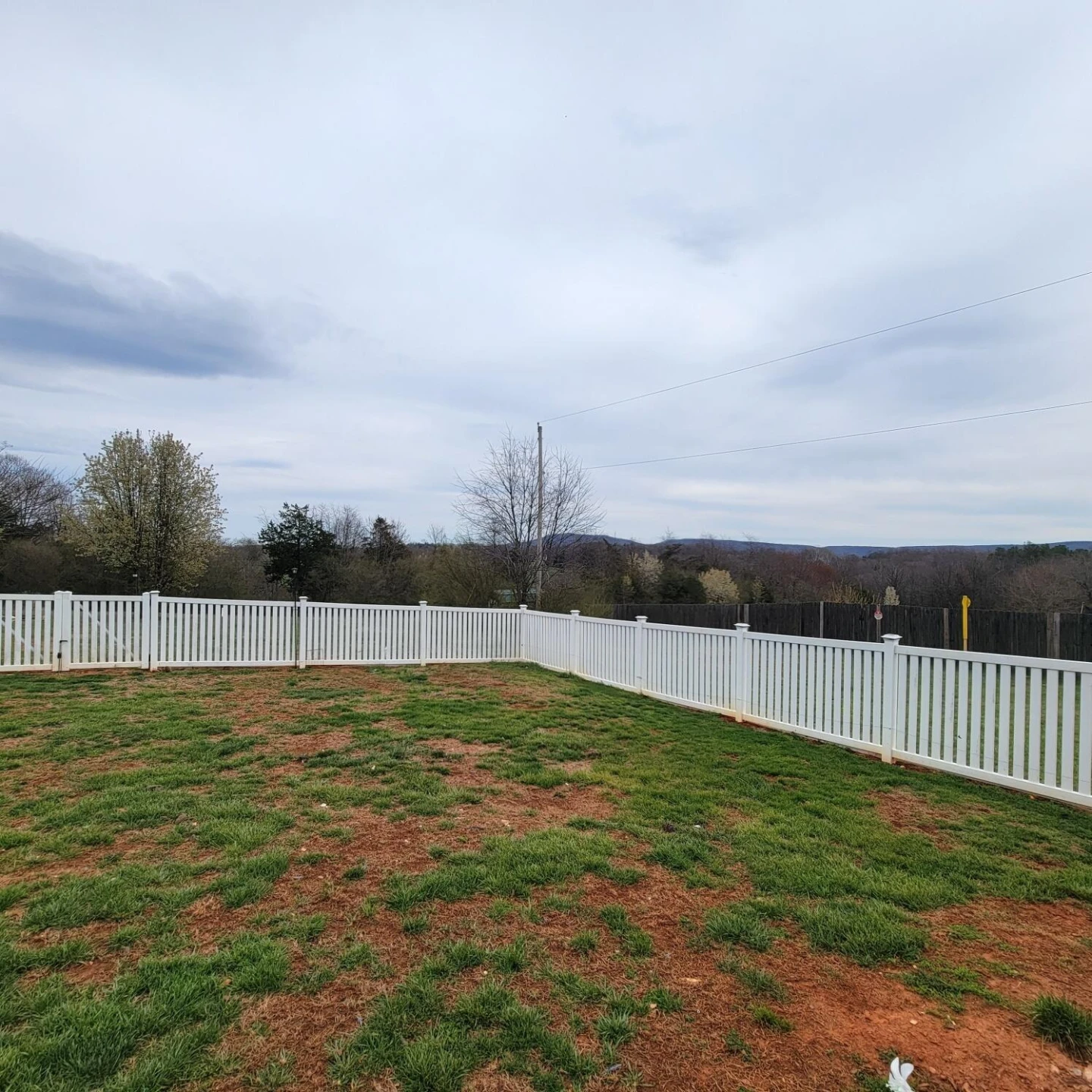 540 Nursery RD - Photo 23