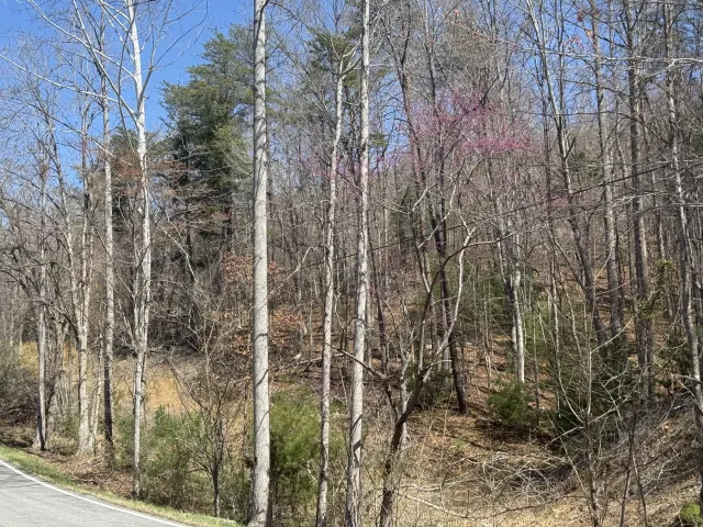 000 Narrow Passage RD, Eagle Rock, VA, 24085