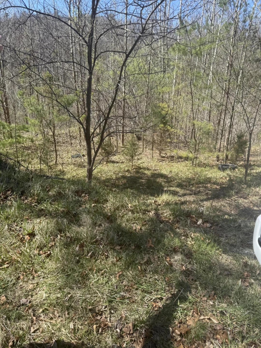 000 Narrow Passage RD - Photo 11