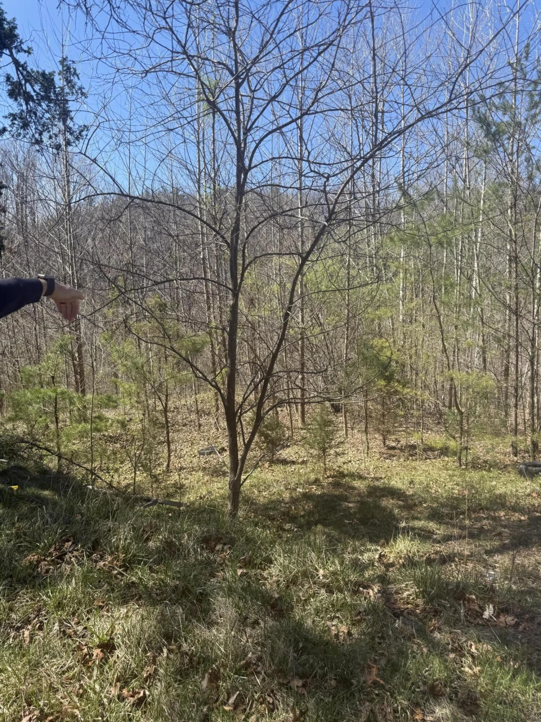 000 Narrow Passage RD - Photo 13