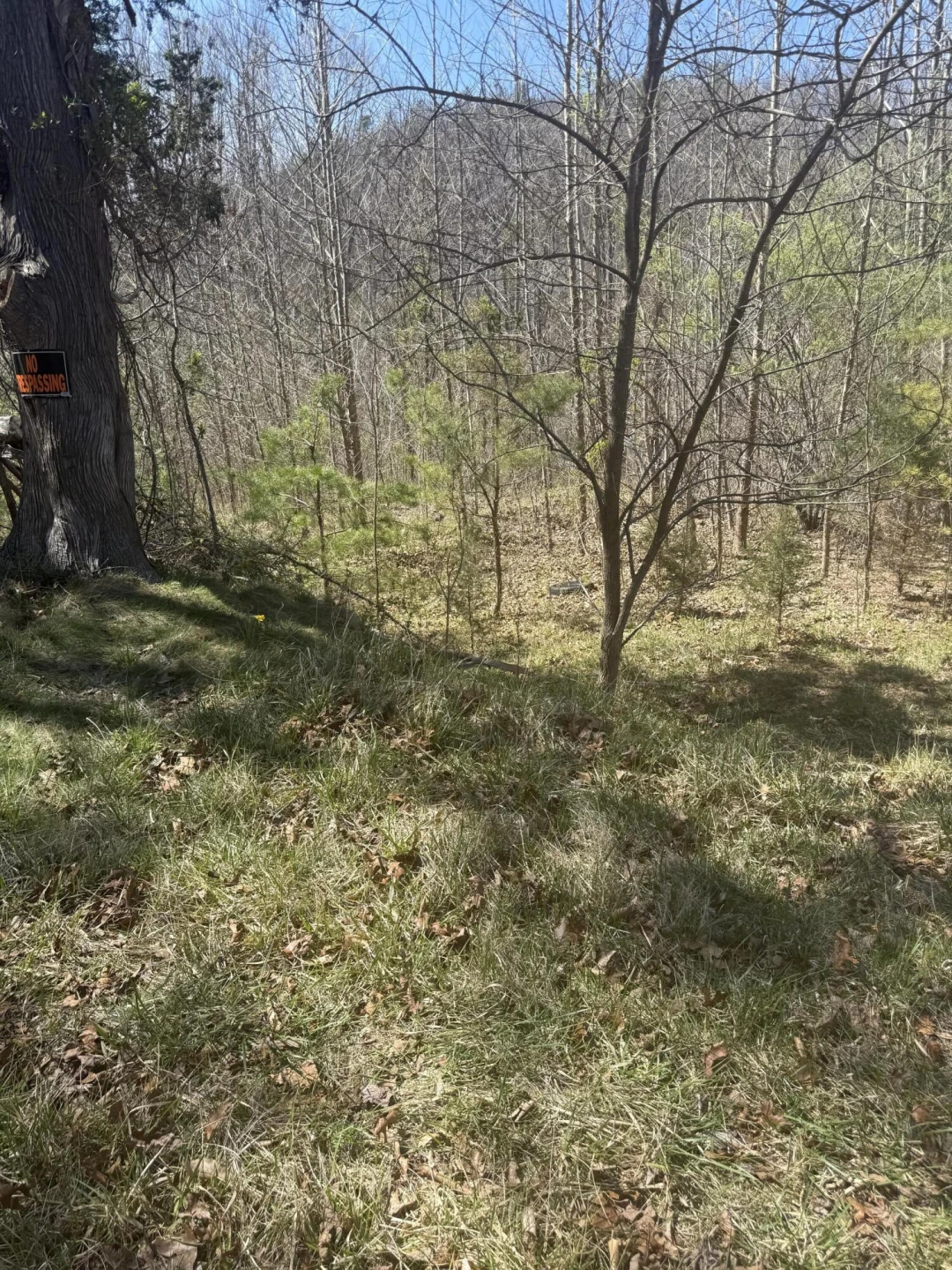 000 Narrow Passage RD - Photo 15