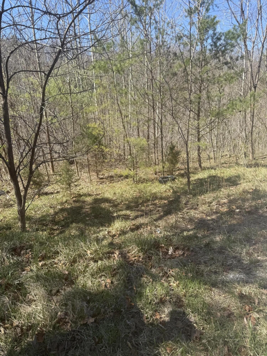 000 Narrow Passage RD - Photo 16
