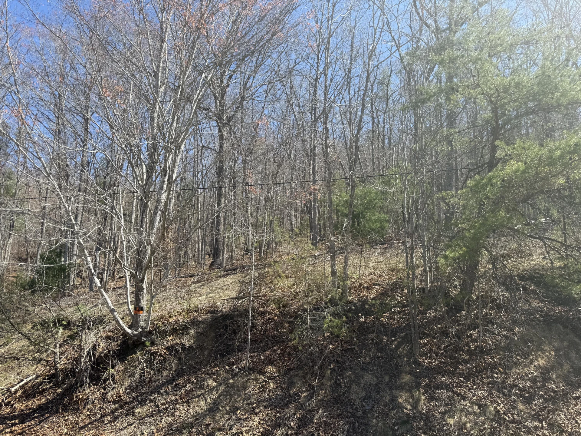 000 Narrow Passage RD - Photo 19