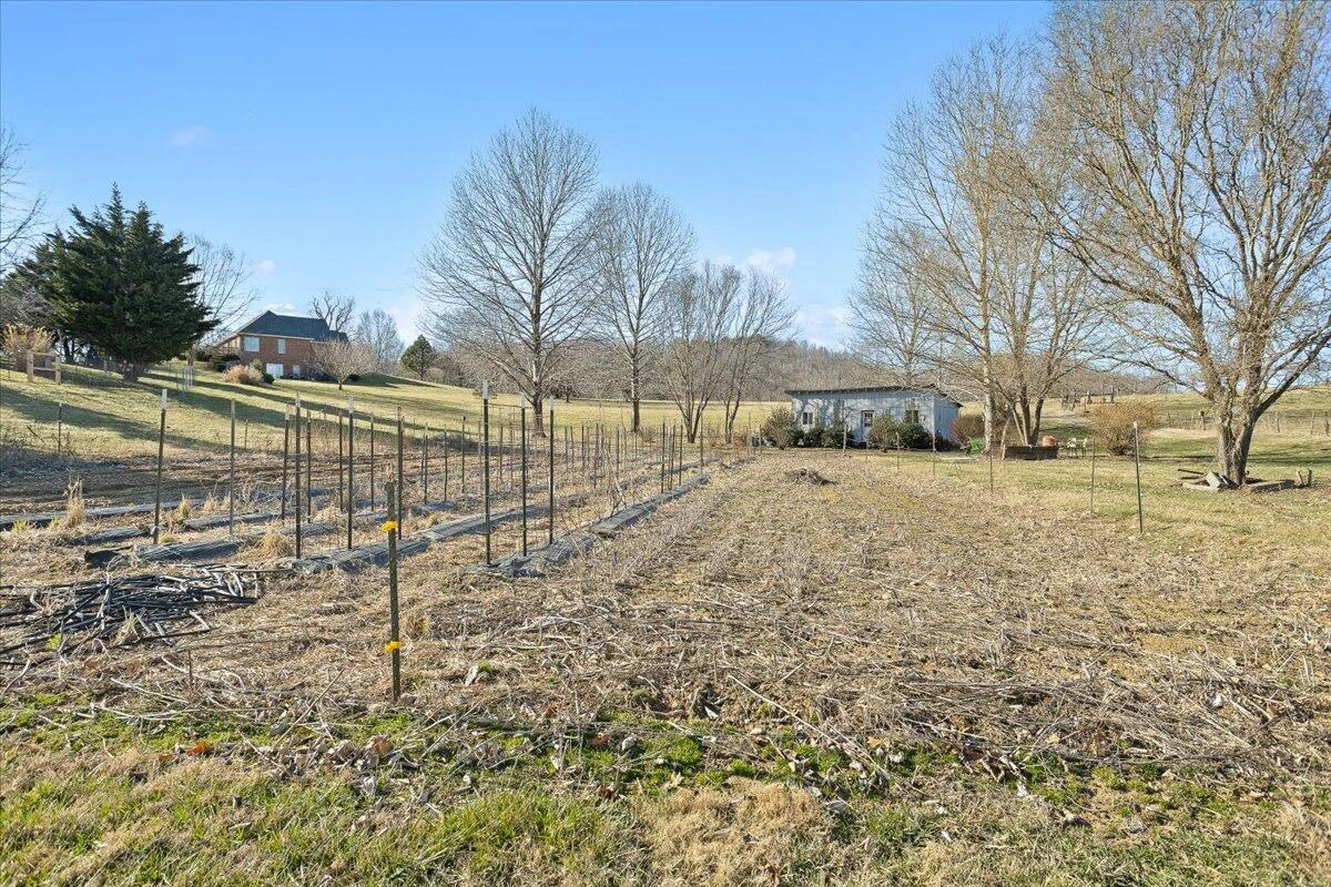 360 Maple Ridge LN - Photo 49