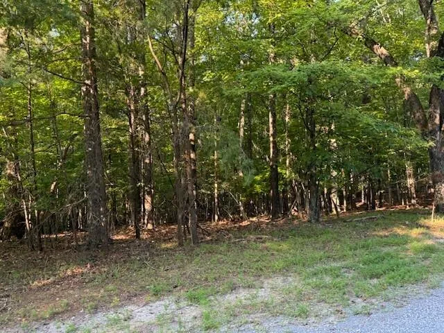 LOT 22 Woodshire DR, Blue Ridge, VA, 24064
