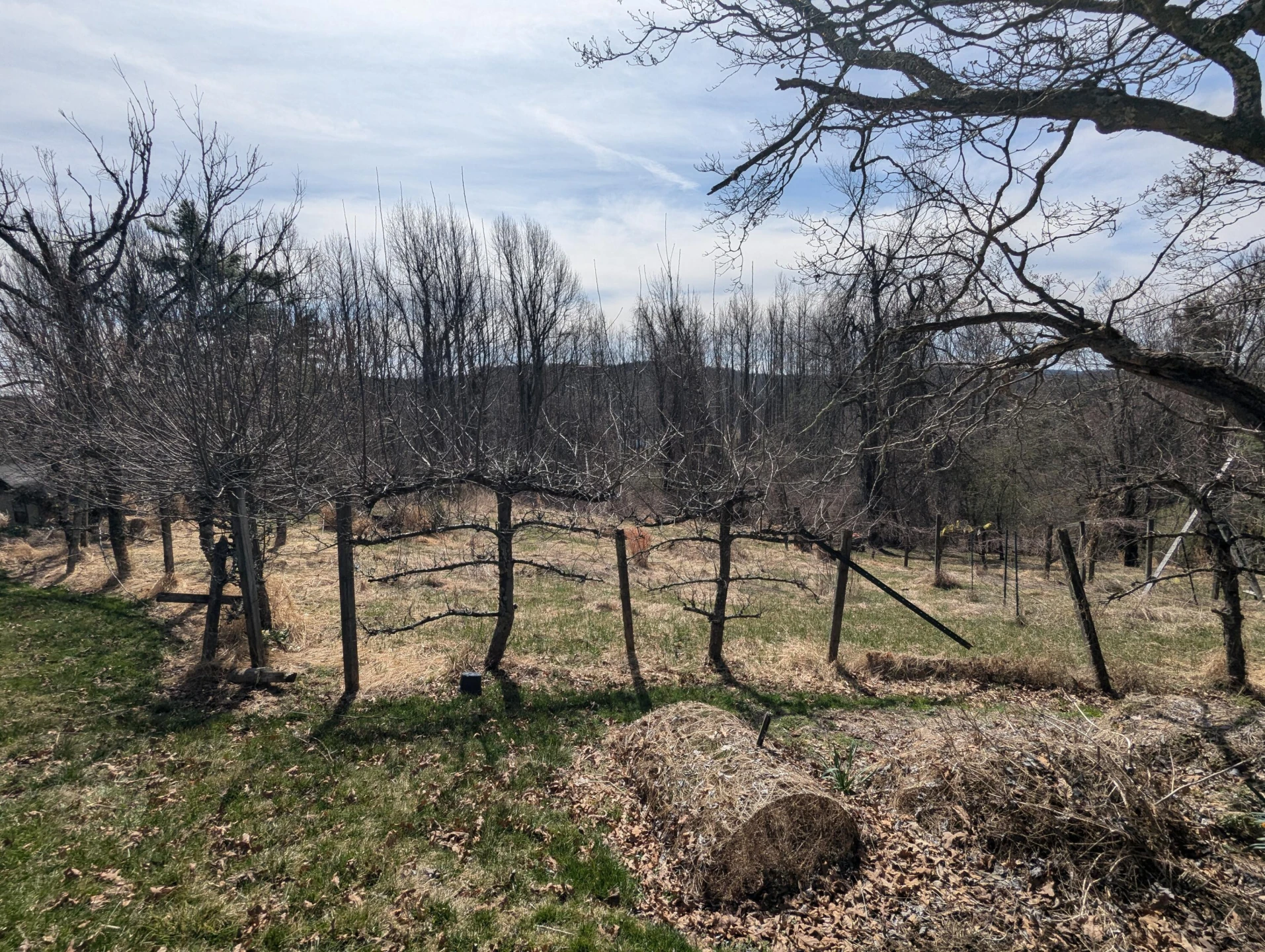 8926 Valley DR - Photo 32