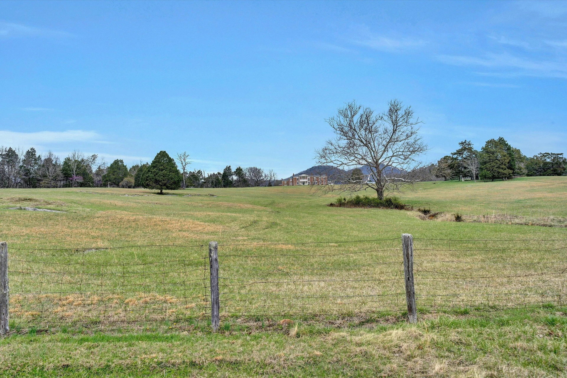 1066 Greyledge RD - Photo 93