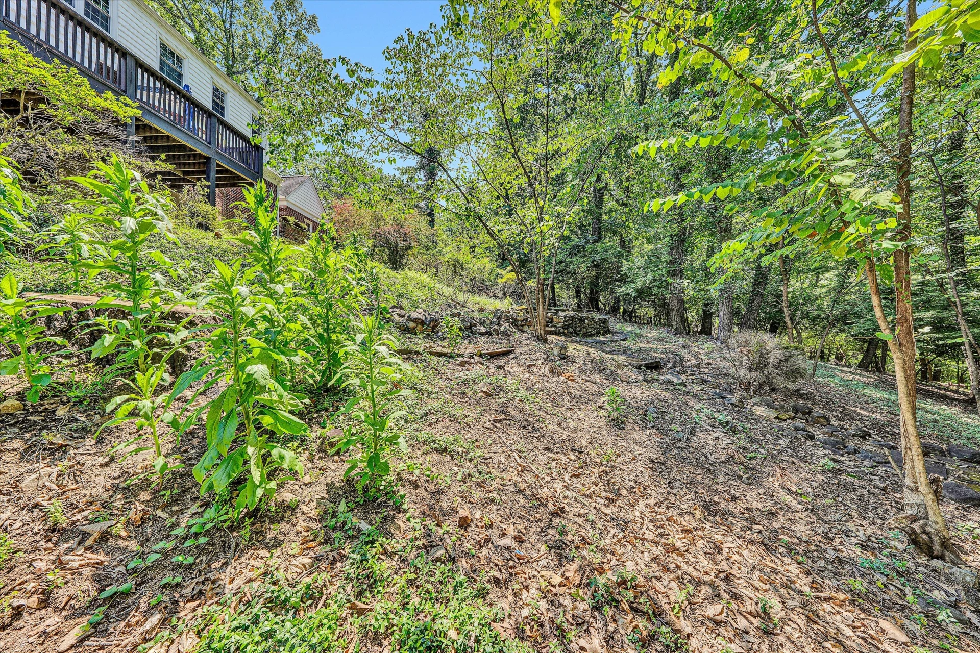 3143 Ridge RD - Photo 63