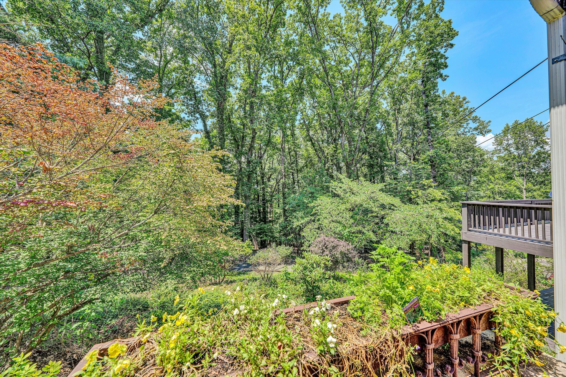3143 Ridge RD - Photo 66