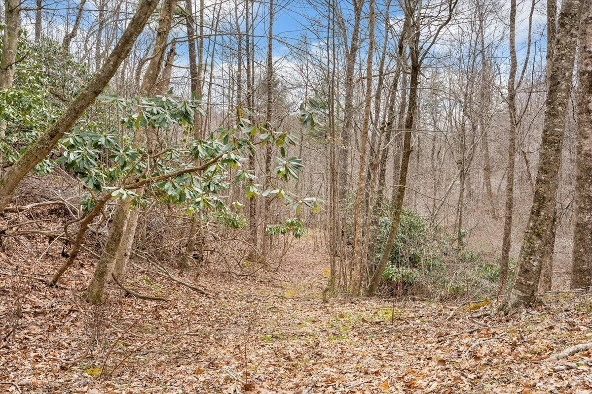 9537-9539 Floyd Hwy - Photo 123