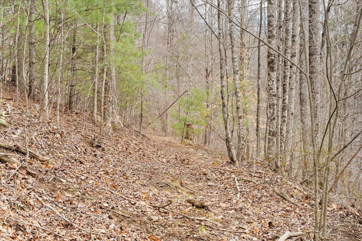 9537-9539 Floyd Hwy - Photo 124