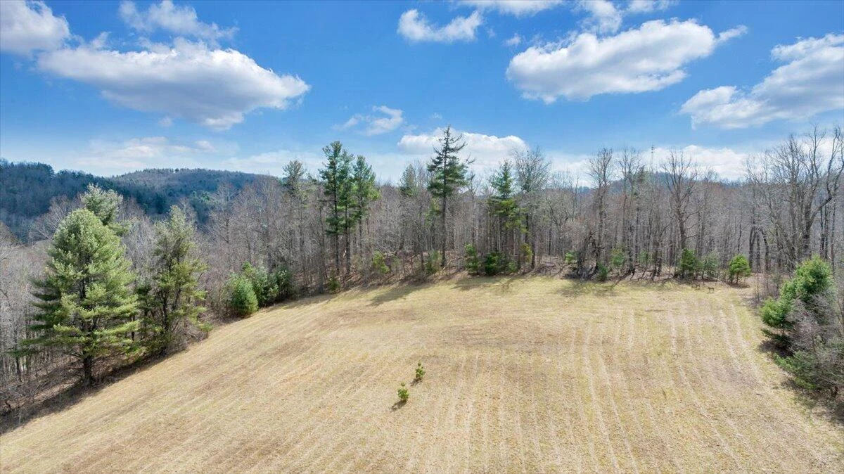 9537-9539 Floyd Hwy - Photo 85