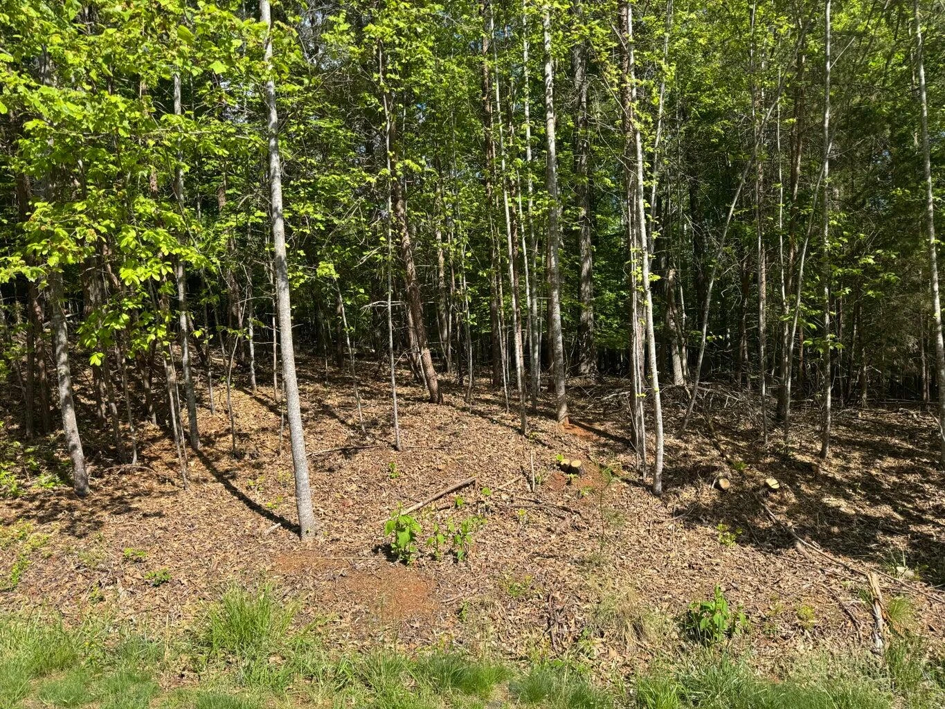 Lot 40 Lakeside LN - Photo 3