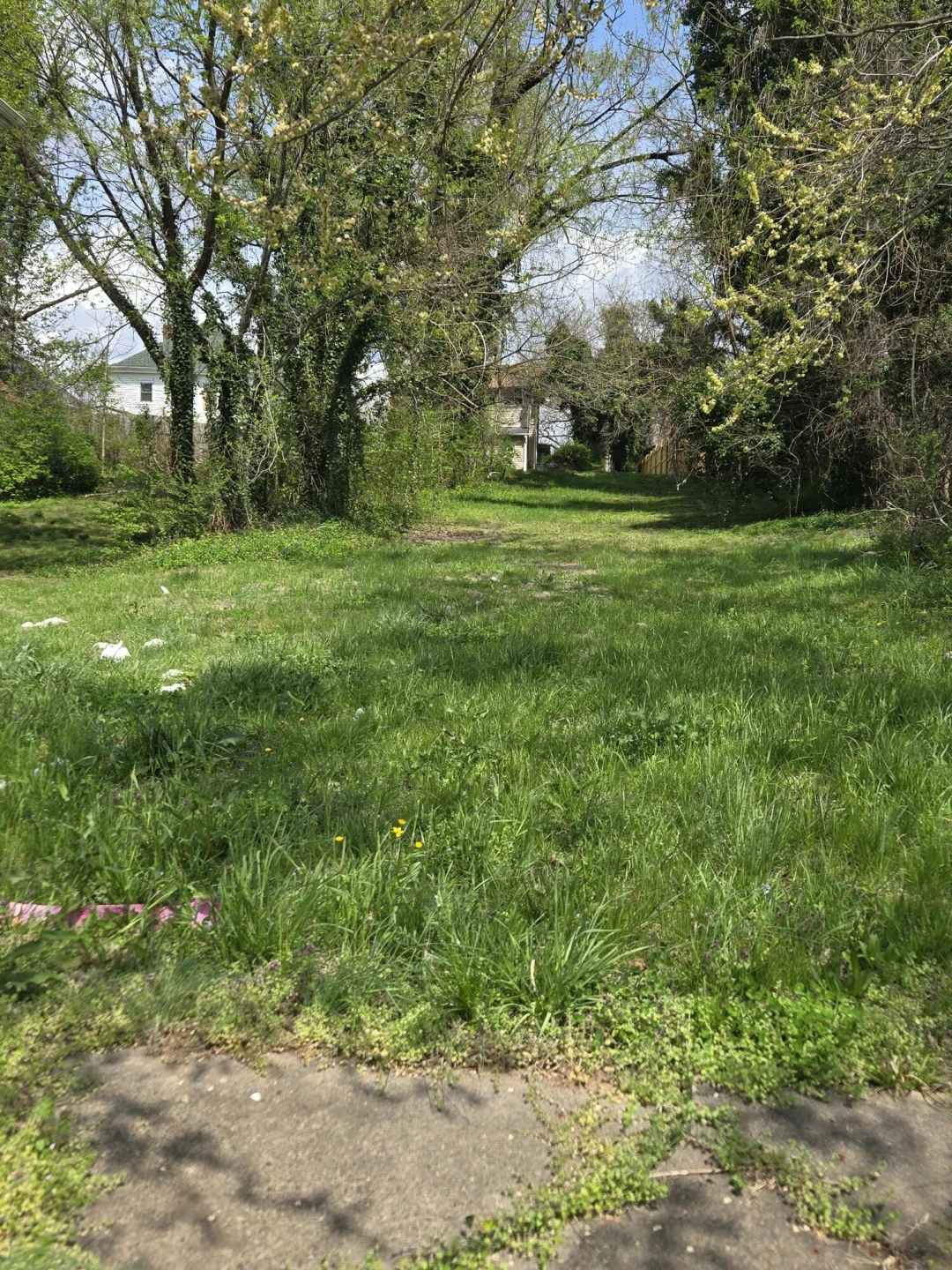 901 Hanover AVE - Photo 5