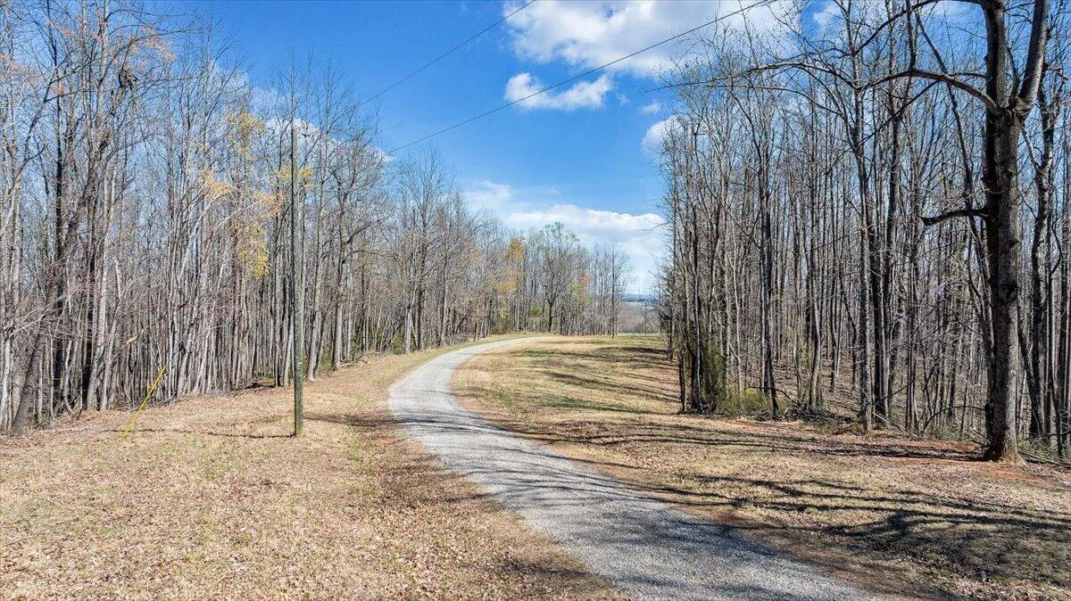 661 Briar Mountain RD - Photo 62